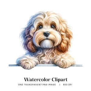 Entzückender Cavapoo Aquarell Clipart, Hund Illustration (Digitaler Download)