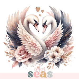 Romantic Swan Love Illustration, Digital Download, Valentine's Day PNG ...