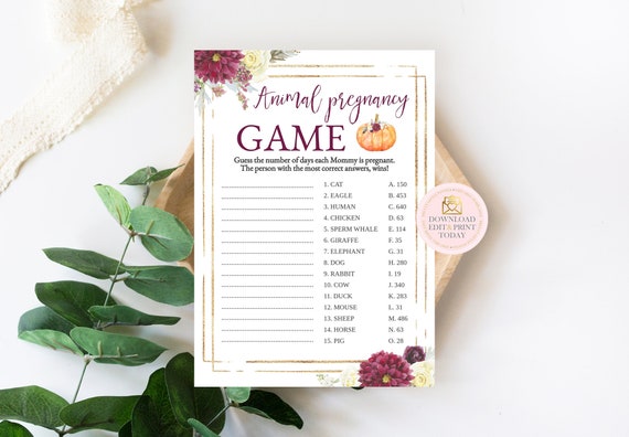 Pumpkin Baby Shower Animal Gestation Game, Fall Baby Shower Game, Animal Pregnancy Game, Pumpkin Baby Game, Autumn Baby Shower Game Il_570xn