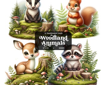 Woodland Animal Clipart Bundle, 12 Transparent PNGs, Premium Forest Creatures Illustrations, Digital Download, Magical Wilderness Critters