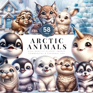 Conjunto de clipart de animais do Ártico, PNG digital fofo, uso comercial, animais de bebê de desenho animado, criaturas polares, decoração de berçário infantil, imagens para impressão