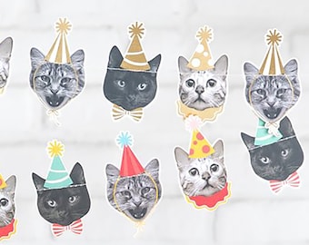 Cat Faces Birthday Banner Cat Birthday Garland Kitties Birthday Party Bunting Decoration for Cat Theme Party Baby Shower