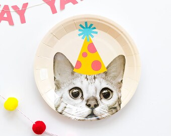 8 KITTEN PARTY Pink Cat SMALL PAPER PLATES ~ Birthday Supplies Cake Dessert