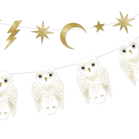 Wizard Party Decorations | Wizard Birthday - Hocus Pocus Birthday - Witch Theme Party - Owl Wizard - Owl, Moon, Stars & Bolt Il_570xn