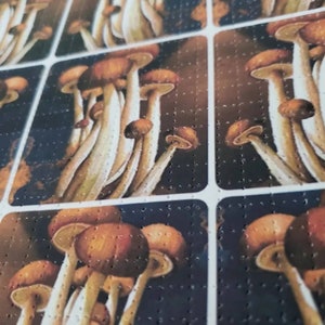 9 Panel Magic Mushroom Blotter Art Print