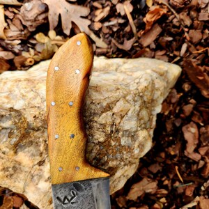 Survivor Knife, Handmade by RLS Knives image 2