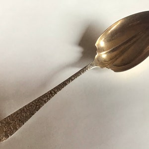 Puede incluir: Una cuchara de plata con un mango texturizado adornado y un cuenco ligeramente curvado y redondeado.