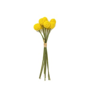 May include: A bunch of yellow billy balls tied together with twine.