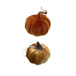 May include: Two decorative pumpkins made of soft velvet fabric. The top pumpkin is a vibrant burnt orange colour with a metallic gold stem. The bottom pumpkin is a muted golden brown colour with a dark blue stem and a thin white string attached.
