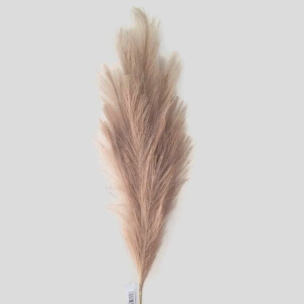 Tall Pampas Grass Etsy UK