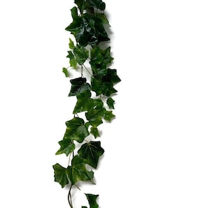 May include: A long strand of artificial ivy with green leaves. The ivy is hanging down from the top of the image.