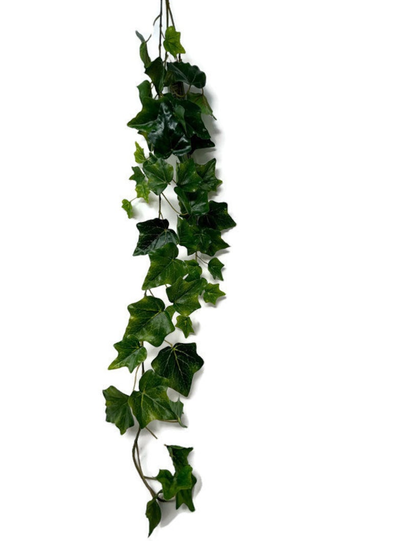 May include: A long strand of artificial ivy with green leaves. The ivy is hanging down from the top of the image.