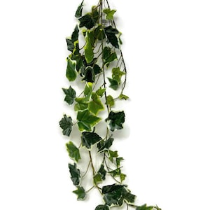 May include: A long, artificial ivy garland with green leaves with white edges. The garland is hanging down from the top of the image.