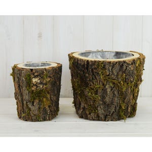 May include: Two rustic, cylindrical planters made from tree trunks. The planters have a rough, brown bark exterior with patches of green moss. The interiors are lined with a clear plastic liner. The planters are set against a white wooden background.