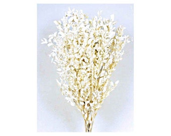 Rusco en conserva 70/80 cm - Blanco - 150g