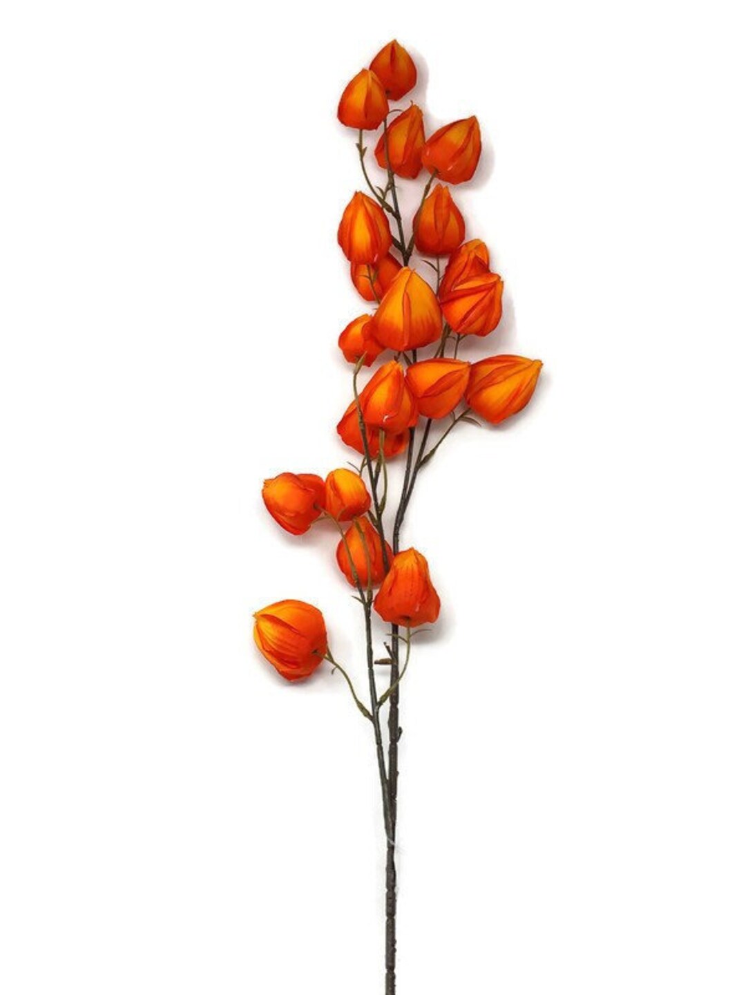 Artificial Orange Chinese Lantern Flower Stem 100cm Home Etsy UK