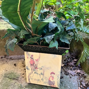 May include: A decorative planter with a black metal rim and a beige body featuring a whimsical illustration of monkeys in red and purple attire. The planter is filled with lush green plants, including large, textured leaves and trailing ivy.