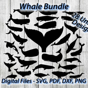 Paquete de gráficos de ballenas 28 diseños únicos lote Ballenas- Archivo svg - SVG - Ballenas Océano Náutico para Cricut para silueta 1 color png pdf dxf