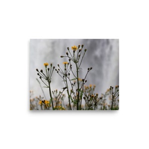 Tirage de photographie dart, Fleurs, Cascade, Nautique, Impression scénique image 3