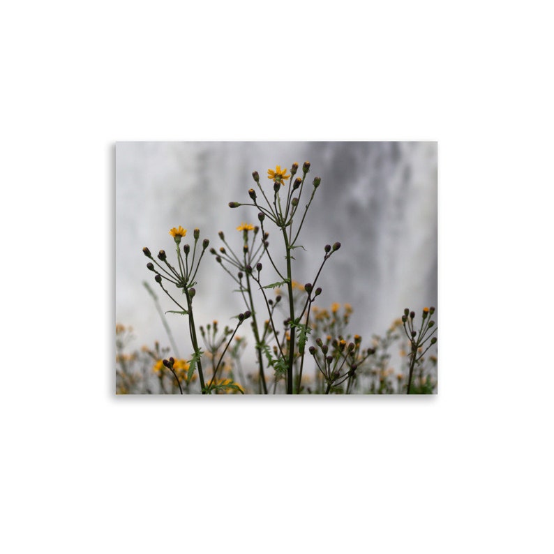 Tirage de photographie dart, Fleurs, Cascade, Nautique, Impression scénique image 5