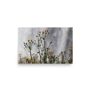 Tirage de photographie dart, Fleurs, Cascade, Nautique, Impression scénique image 7