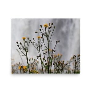 Tirage de photographie dart, Fleurs, Cascade, Nautique, Impression scénique image 8