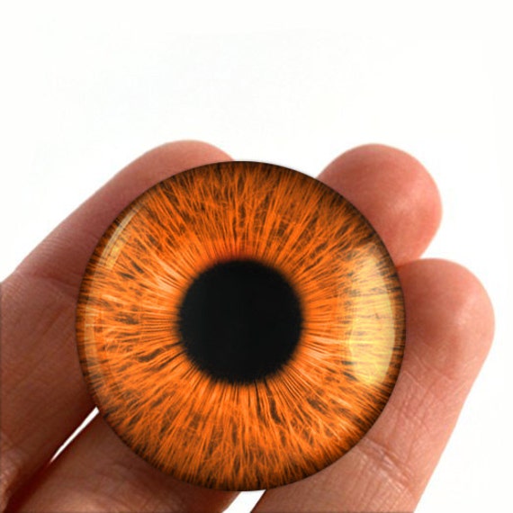 20mm Glass Gothic Sci-fi Dragon Creature Taxidermy Doll Eyeballs Fantasy Supply