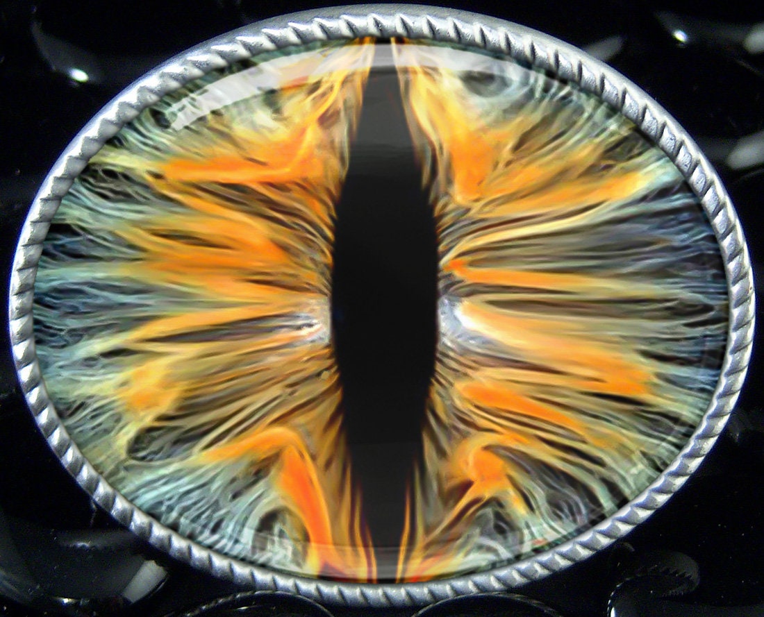 Eyeball Belt Buckle Animal Taxidermy 