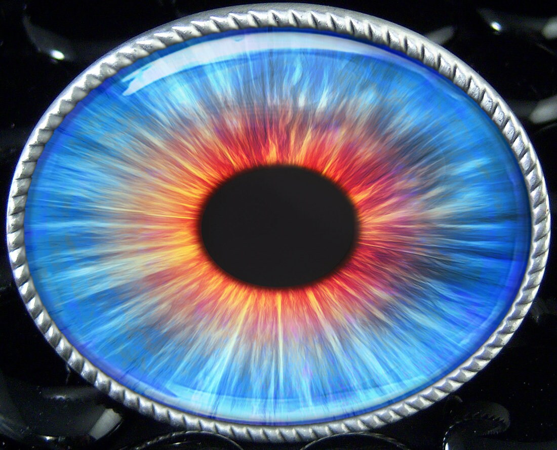 Blue Doll Eye Belt Buckle Realistic 