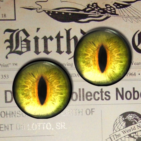 1" Inch Eyeballs Futuristic Sci-fi Dragon Reptile Cat Monster Glass Eye Creature Fantasy Halloween Taxidermy Doll Set 25mm