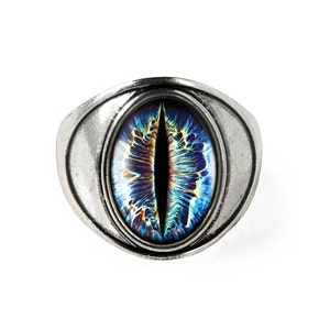May include: A silver ring featuring a blue and black eye design. The eye is set within a silver oval.