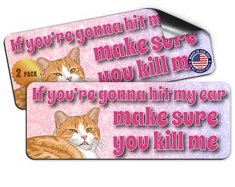 Magnet Me Up If You're Gonna Hit My Car Funny Cat Magnet, 3x8, 2 Pack