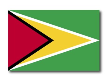 Guyana Flag Car Magnet Decal - 4 x 6 Heavy Duty for Car Truck SUV …
