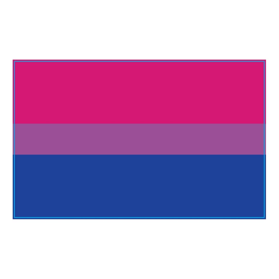 Magnet Me up Bisexual Pride Flag Car Magnet, 5x8 Inches, Pink Blue and ...