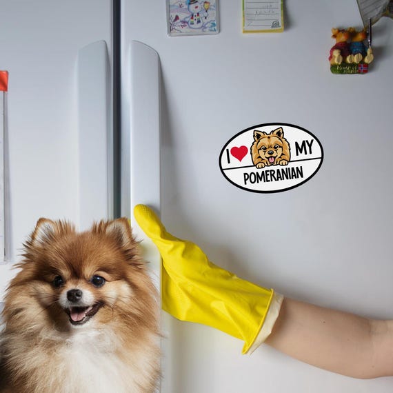 Magnet Me Up 'I Love My Pomeranian' Car Magnet – 4x6 Inches, Waterproof Vinyl, Made In USA