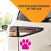 "Who Rescued Who?" 5 Paw Print Car Magnet - Flexible Vinyl Decal For Car, Truck, Fridge 7 thumbnail image