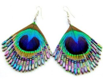 Earrings of peacock feathers