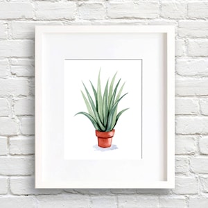 Aloe Vera Art Print - Nature Wall Decor - Pianta di Aloe Vera - Pittura ad acquerello