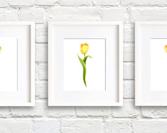 Yellow Tulip Art Prints - Set of Three - Yellow Tulips Wall Decor - Watercolor Painting