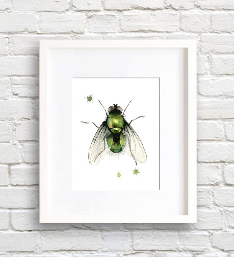 House Fly Art Print Wall Decor Watercolor Painting - Etsy