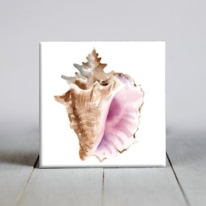 May include: Watercolor painting of a seashell with a pink interior and brown exterior. The shell is painted in a realistic style and has a detailed texture.