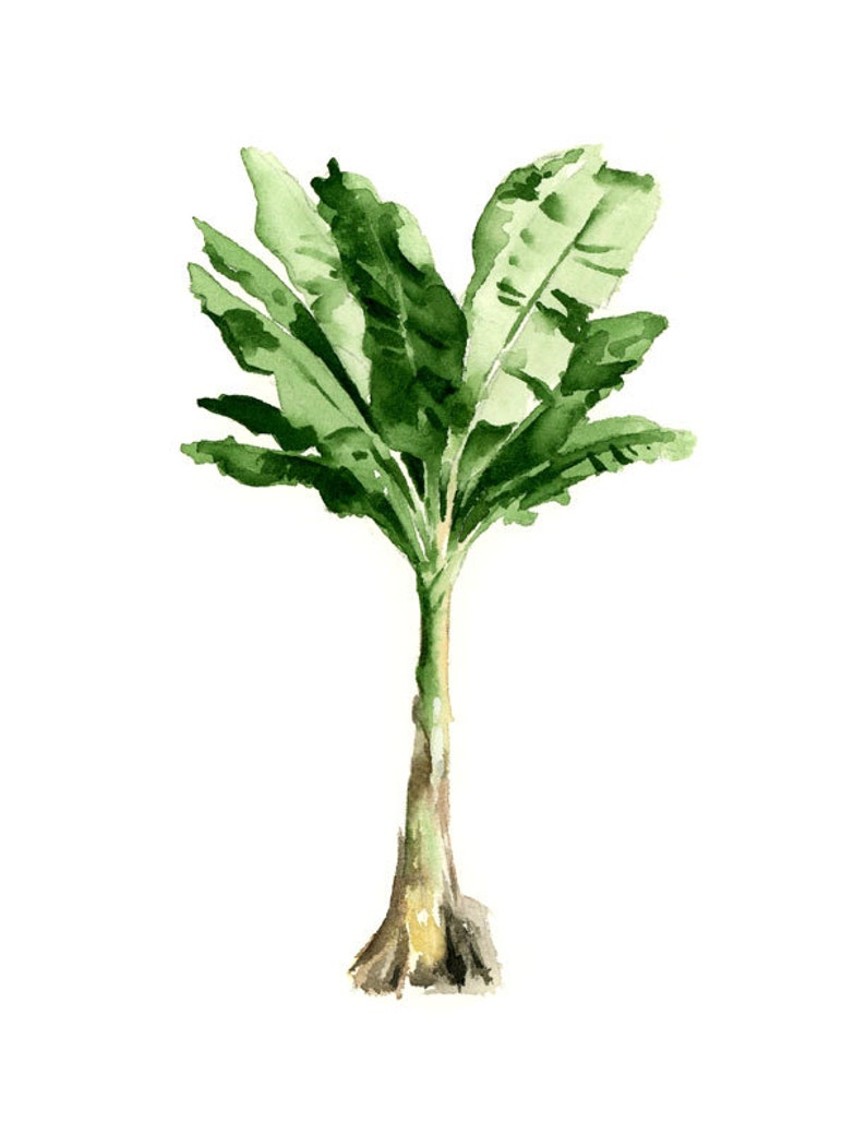 Banana Tree Art Print Wall Decor Watercolor Painting Etsy