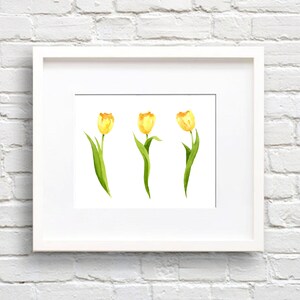 Impression d'art tulipe jaune - décoration murale fleurs tulipes - aquarelle florale