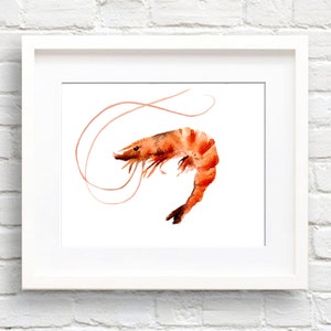 Shrimp Art Print - Kitchen Art - Wall Decor - Watercolor Painting