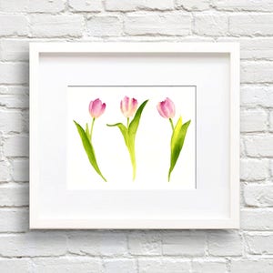 Pink Tulip Art Print - Tulips Flower Wall Decor - Floral Watercolor Painting