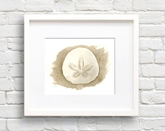 Sand Dollar Art Print Watercolor Painting