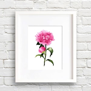 Peony Flower - Peonies Art Print - Flower Wall Decor - Floral Watercolor Painting