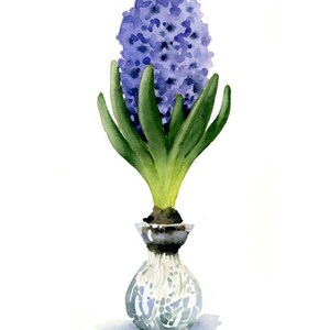 Hyacinth Art Print Hyacinth Flower Wall Decor Floral Watercolor Painting image 2