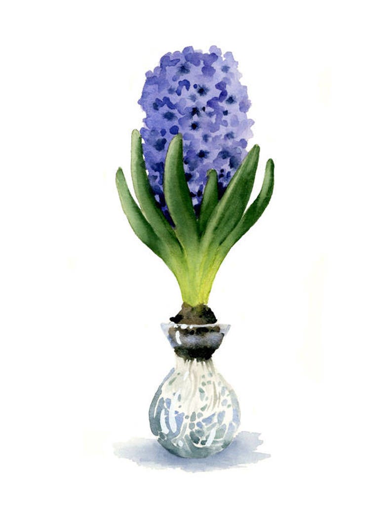 Hyacinth Art Print Hyacinth Flower Wall Decor Floral Watercolor Painting image 2