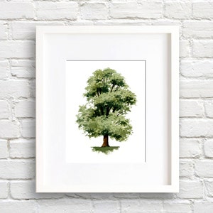 Elm Tree - Art Print - Wall Decor - Watercolor Painting